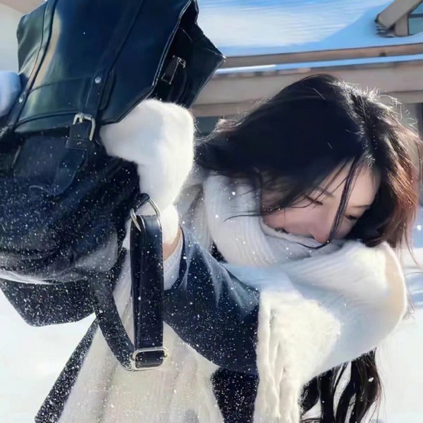 乘风破浪的妻子