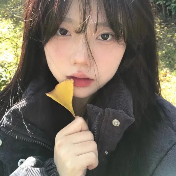 爱你汪汪